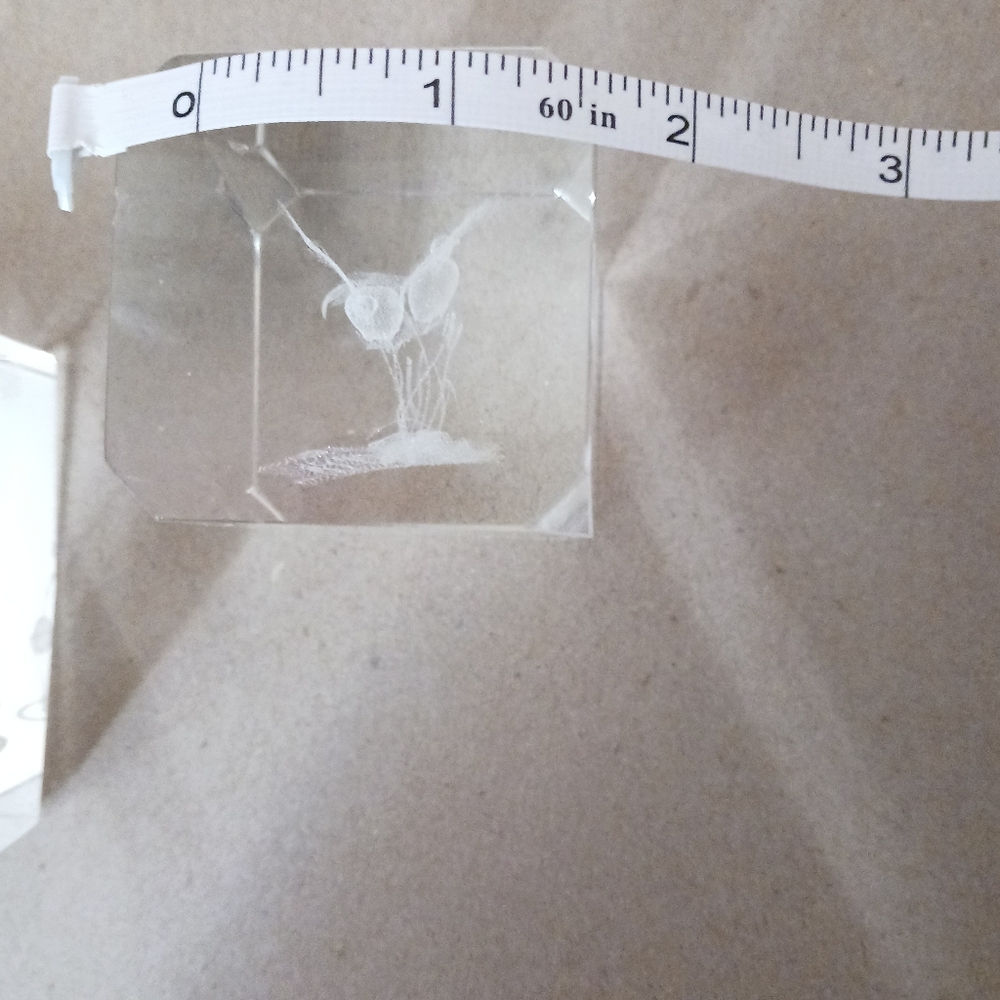 1#Crystal Glass Blocks with Etched Designs Cat&birds Heavy Paperweights - Picture 8 of 8